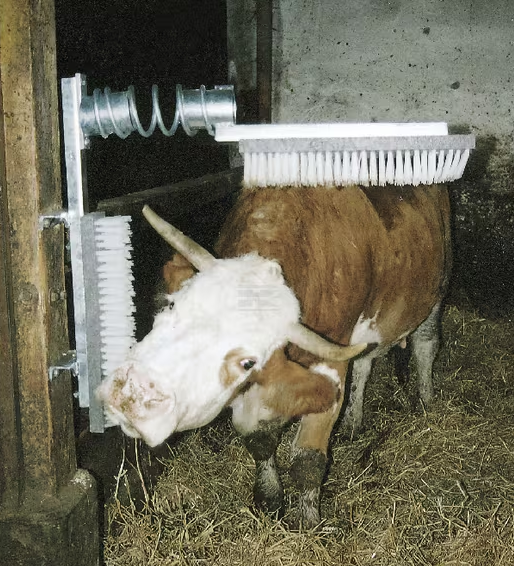Kerbl EuroFarm cattle brush