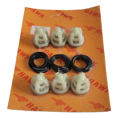 NMT Hawk & H700 complete valve kit HK19055430