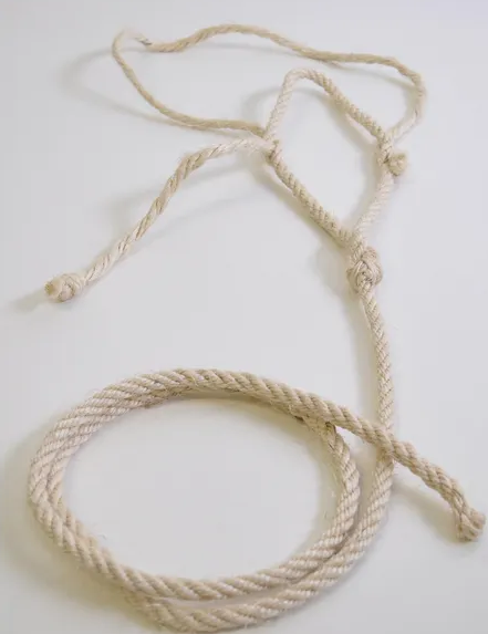 Halter with rope HD