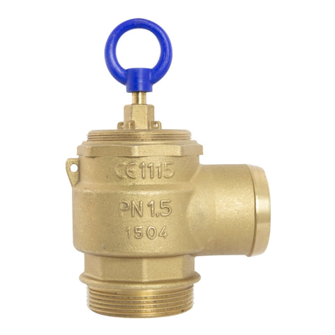 2" RIV Pressure Relief Valve